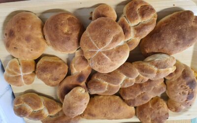 Dani kruha kod prvaša