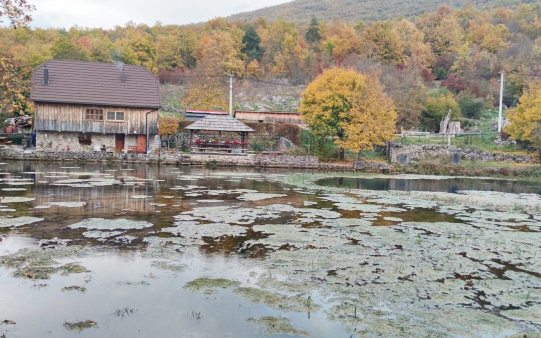 TERENSKA NASTAVA PETIH RAZREDA-LIKA