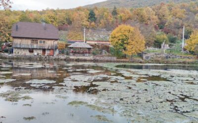 TERENSKA NASTAVA PETIH RAZREDA-LIKA