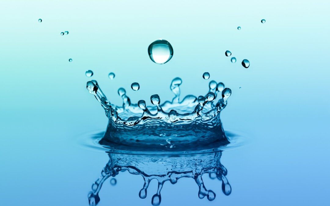 TJEDAN DAROVITOSTI U 2.A I 3.B RAZREDU