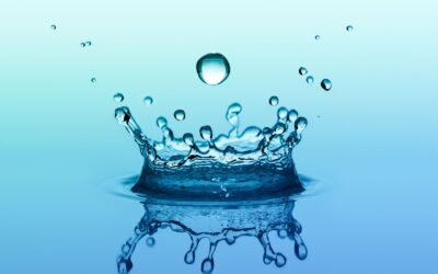 TJEDAN DAROVITOSTI U 2.A I 3.B RAZREDU